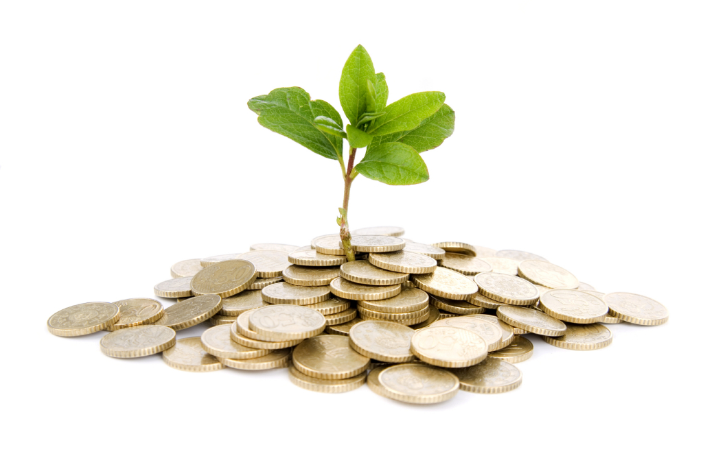 Coins and plant, isolated on white background