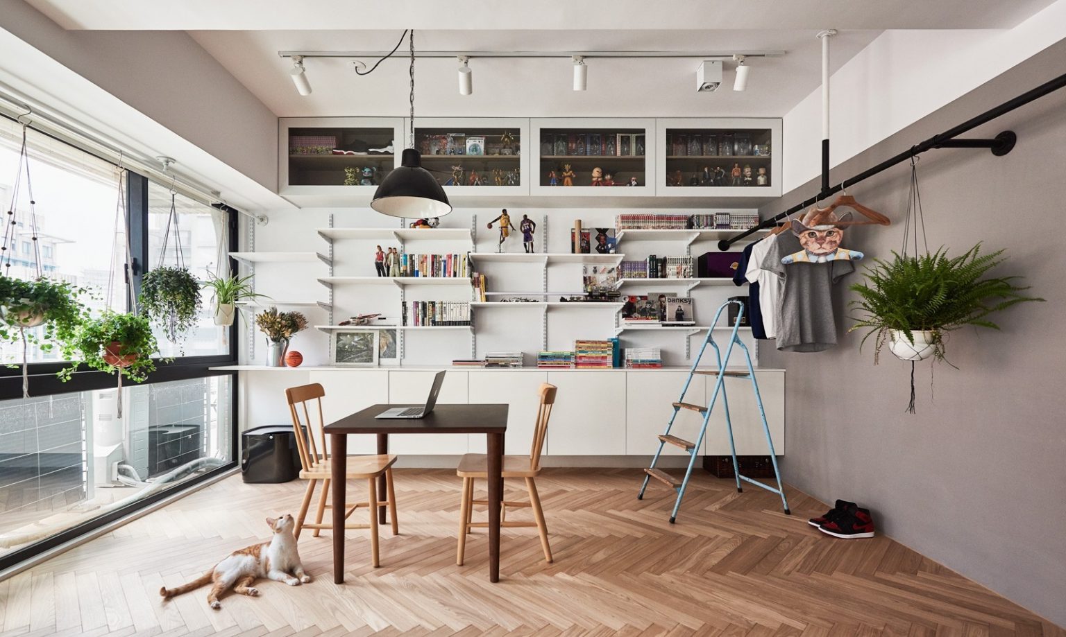 GATO EM CASA? CONFIRA 5 IDEIAS LINDAS DE DECORAÇÃO | Proma